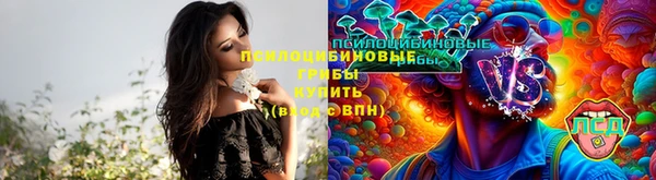 spice Абдулино