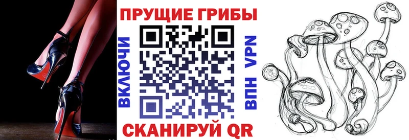 Галлюциногенные грибы Psilocybine cubensis  Кяхта 