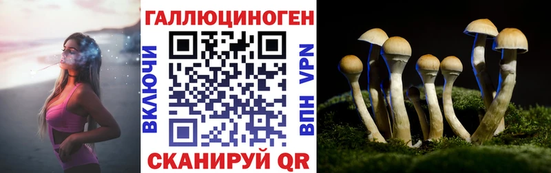 Галлюциногенные грибы GOLDEN TEACHER Кяхта
