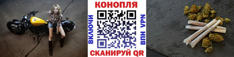 купить Кяхта Канабис SATIVA & INDICA